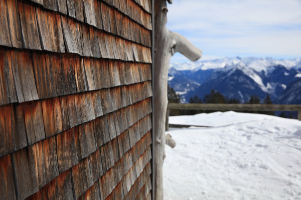 Cost of Cedar Siding Repair in Sacramento